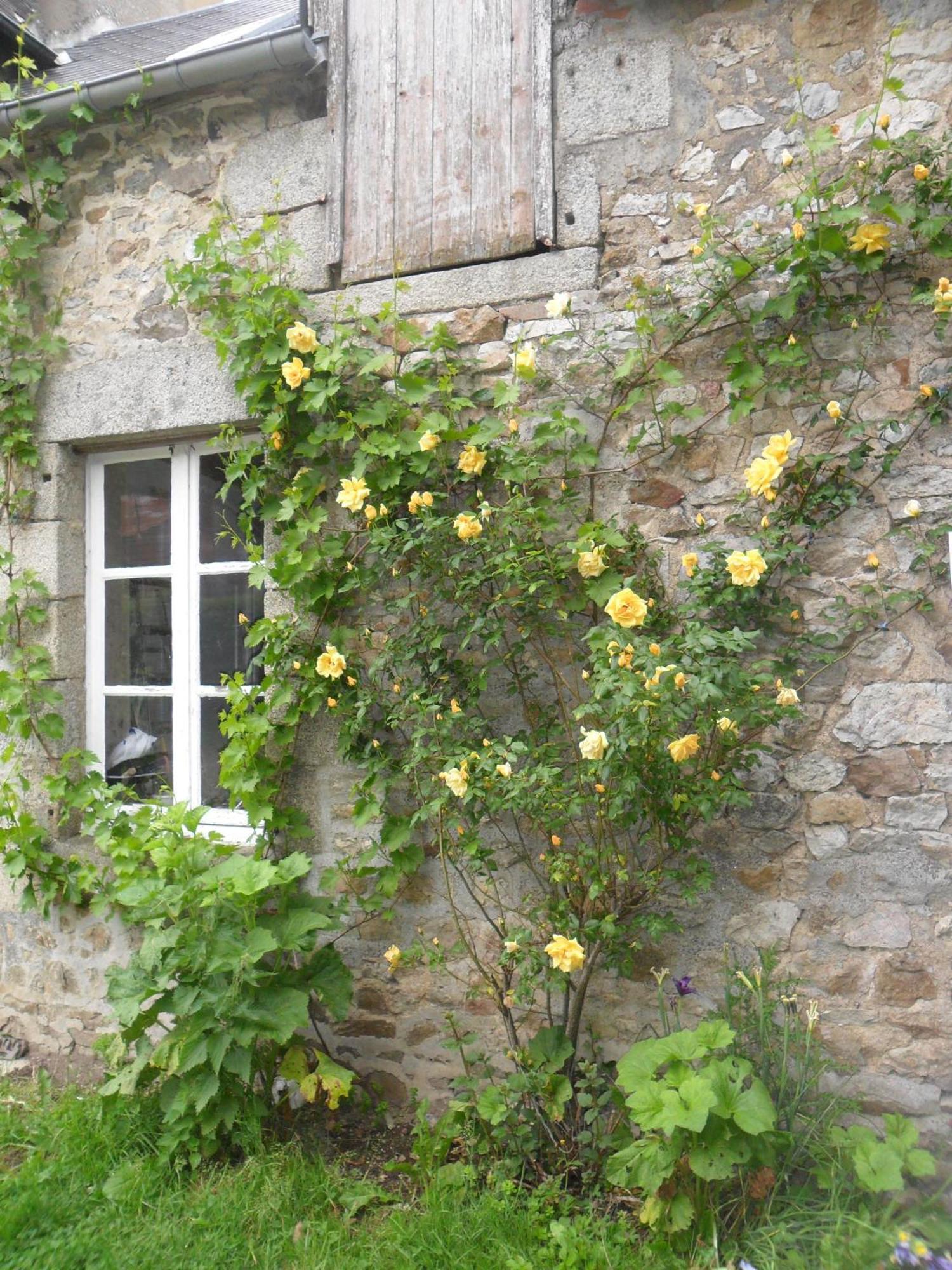 Les Hautes Loignieres Hotel Pre-en-Pail-Saint-Samson Bagian luar foto